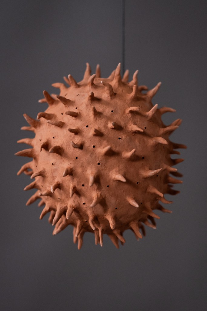 In Balance - detail for fungal spore